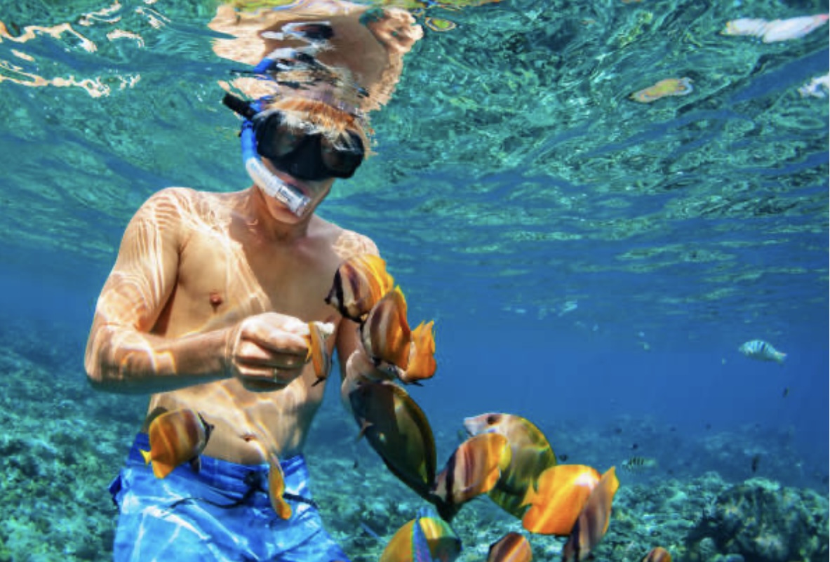 Snorkel Roatán