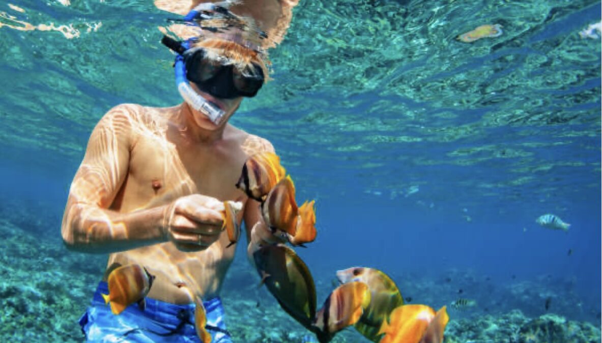 Snorkel Roatán