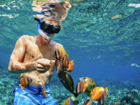 Snorkel Roatán